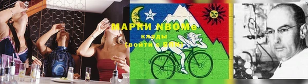 хмурый Богородск