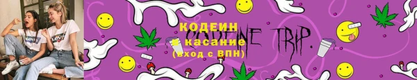 хмурый Богородск